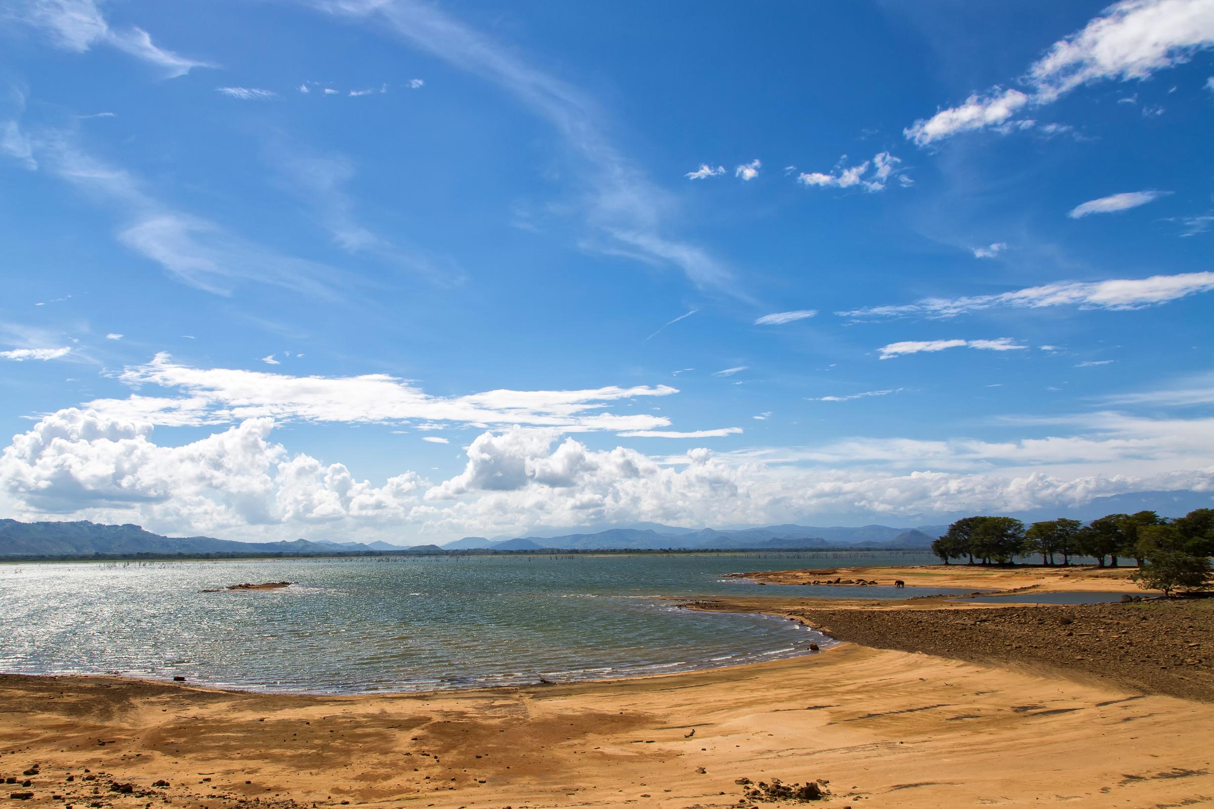 udawalawe national park (4).webp